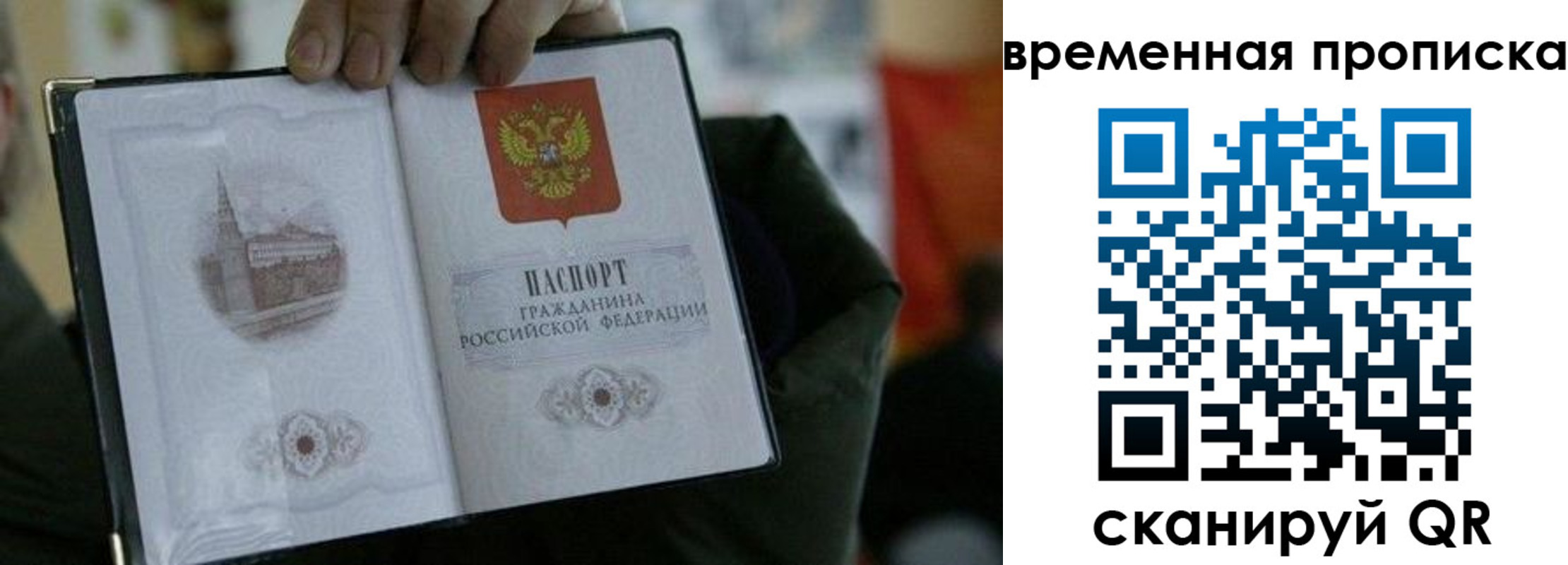 найти адрес прописки в Стародубе